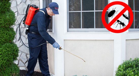 Balıkesir Böcek İlaçlama böcek ilaçlama ve haşere kontrolü — ilaclama-tr.com